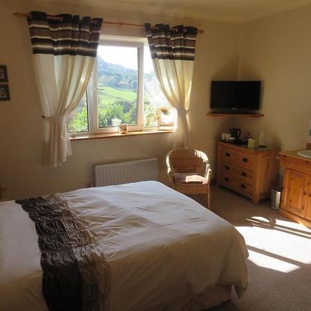 Heulwen Guest House Долгелай Екстериор снимка