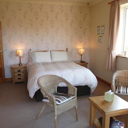 Heulwen Guest House Долгелай Екстериор снимка